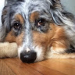 Meet your Posher, Terri-ann